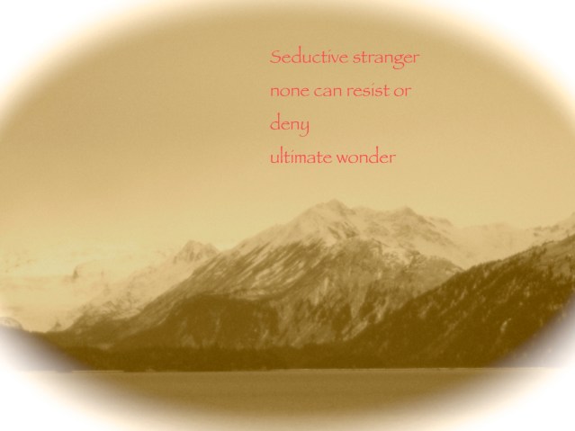 Wonder Haiku 5