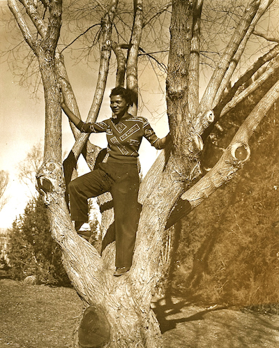 Mama in Tree Reduced