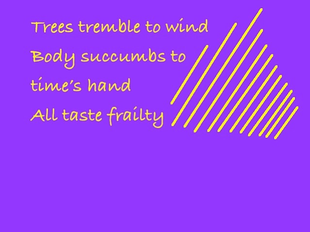 Wonder Haiku 70
